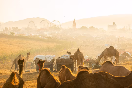 Why Pushkar's A Big Deal: The Complete Experiential Guide