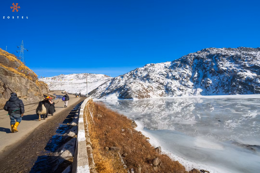 Cover image for The Ultimate Travel Guide to Gangtok and Sikkim | Zostel