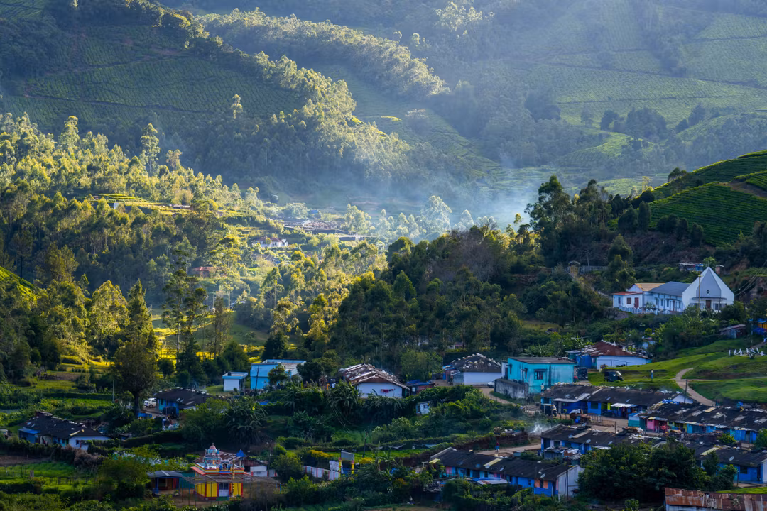 Cover image for Munnar for Backpackers: Hike, Dive, Camp, & Explore!