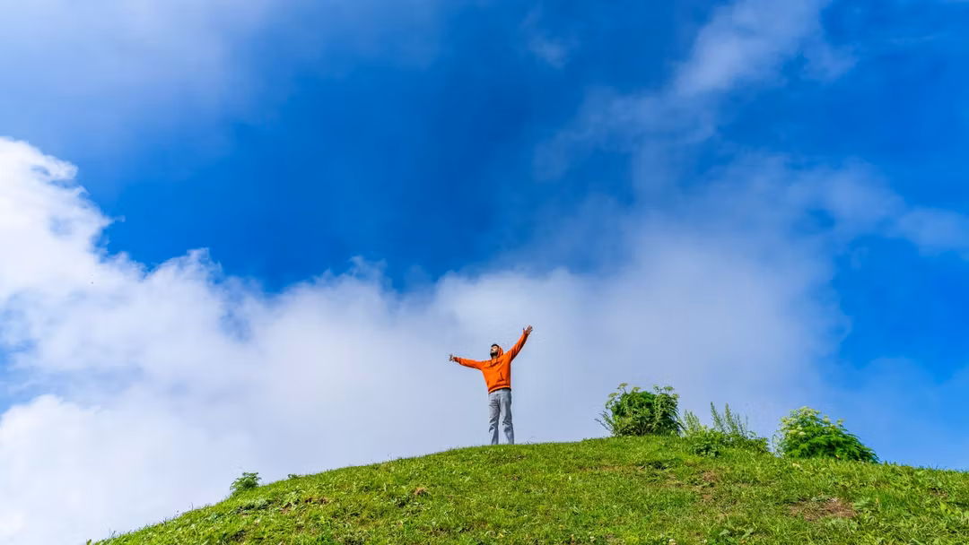 Cover image for Travel guide to Kotgarh: A farming village beyond Shimla
