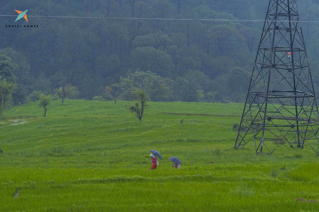 Cover image for Landing in Harabhag: A Hidden Spot for your Bir Itinerary