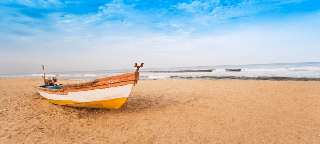 Cover image for The Soul of South India: What to do in Chennai & Around