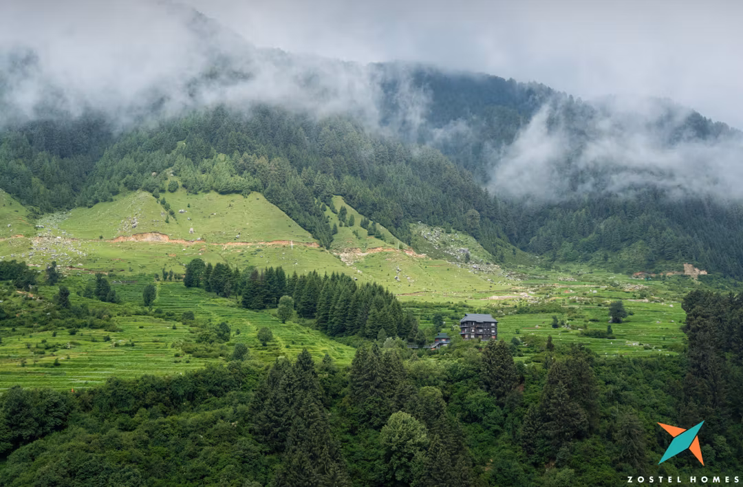 Cover image for Reaching Rajgundha Valley: A Hidden Hamlet near Bir Billing Himachal Pradesh