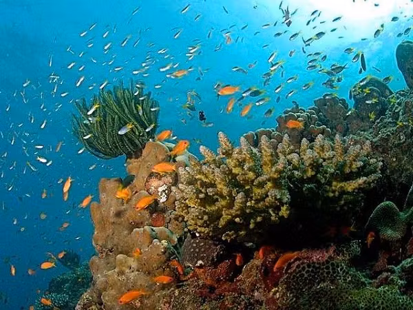 Cover image for 8 places in India that look like rainbows (2019)