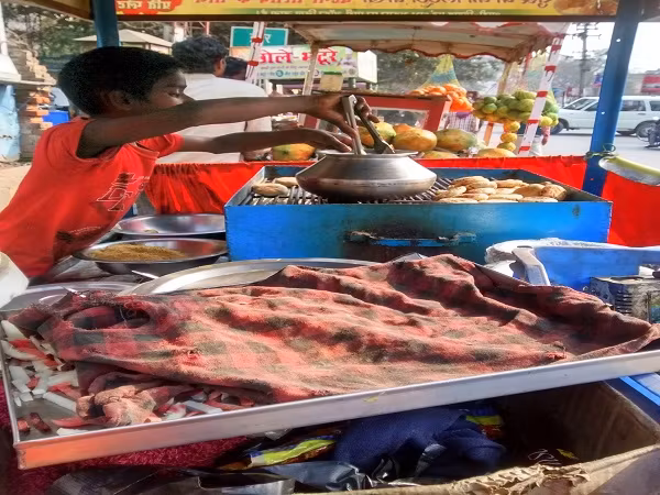 Cover image for Solo Woman in Bihar