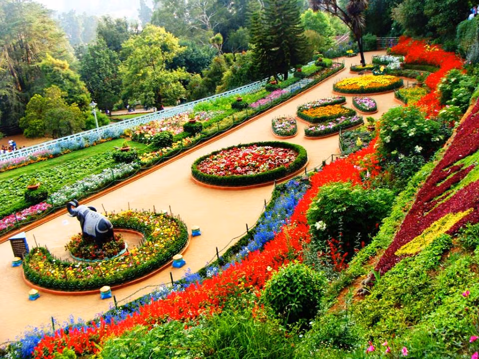 Cover image for 6 Things you must experience in Ooty (2019)