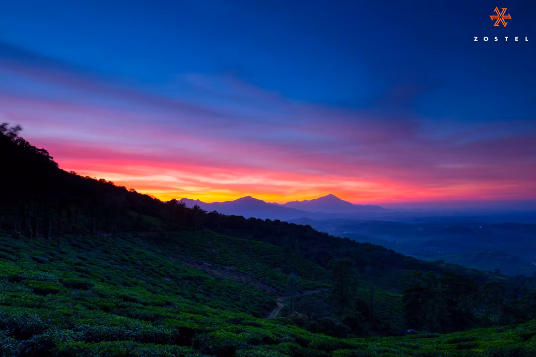 Cover image for 8 Reasons to make Wayanad your next Backpacking Destination in Kerala
