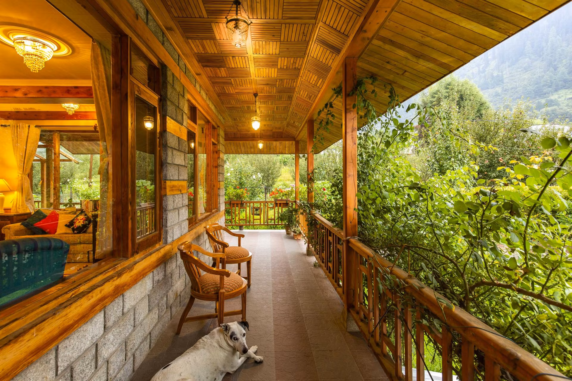 Zostel Homes Shuru - Balcony