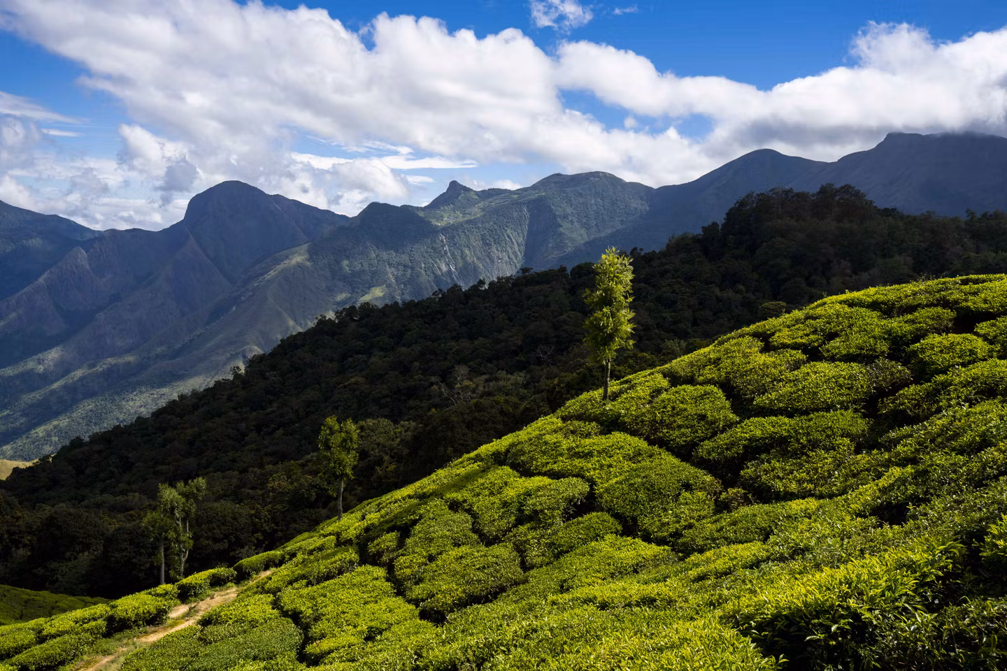 Zo Trips: May Edition 2025