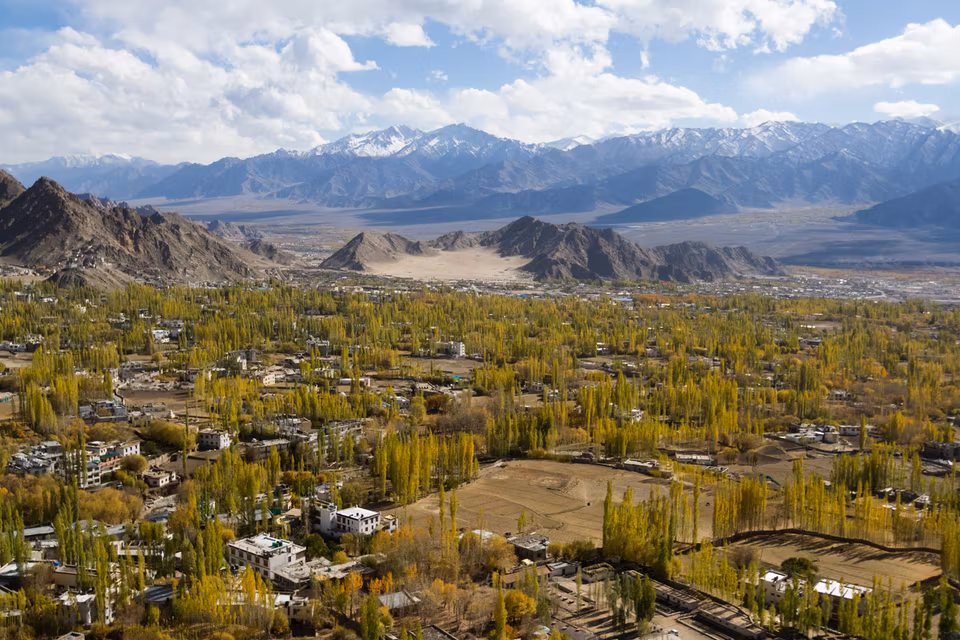 Zo Trips: June Edition 2025