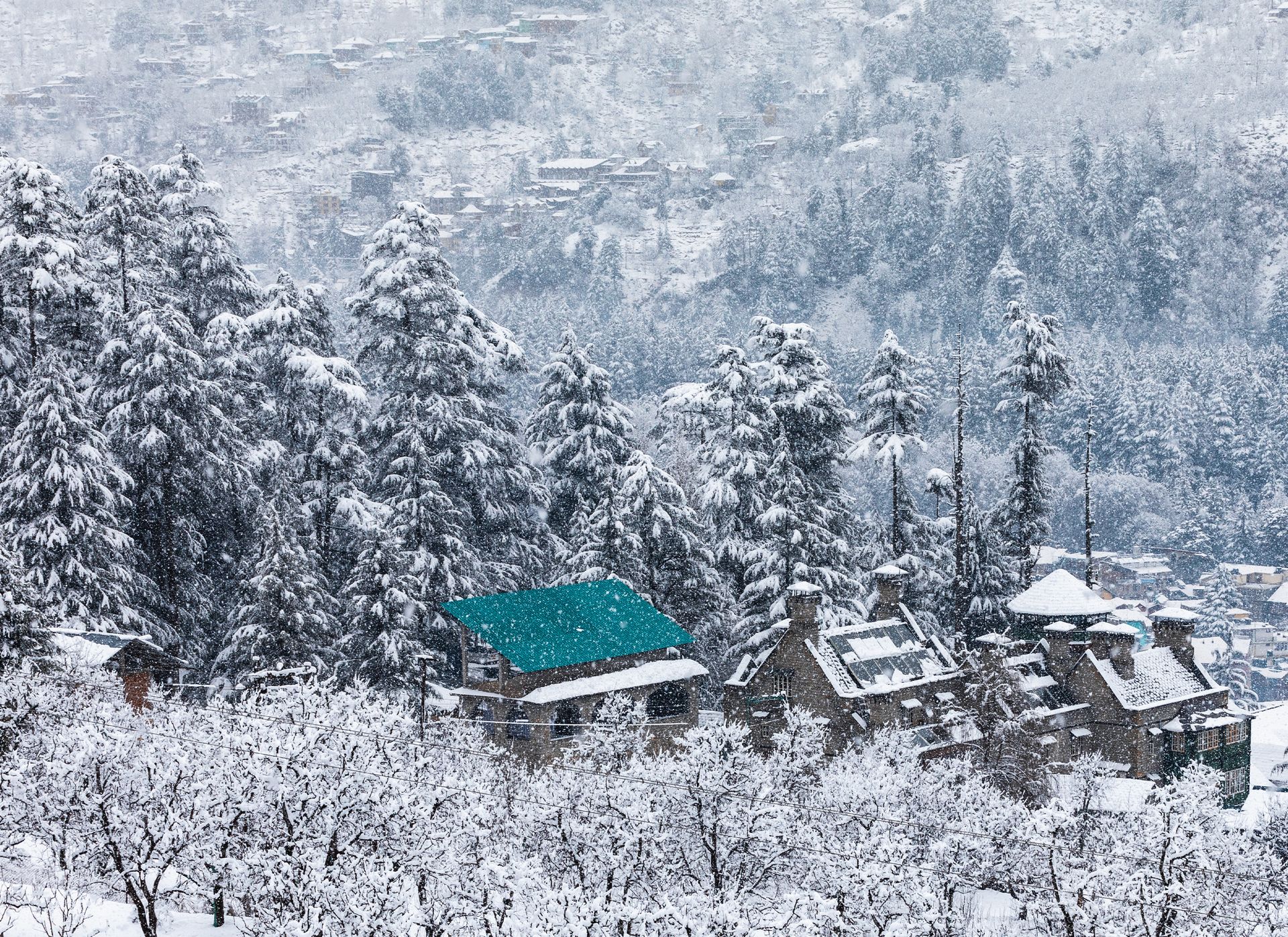 Hostels, Homes & Unique Stays in Burwa | Book Backpacker, Trips & More ...