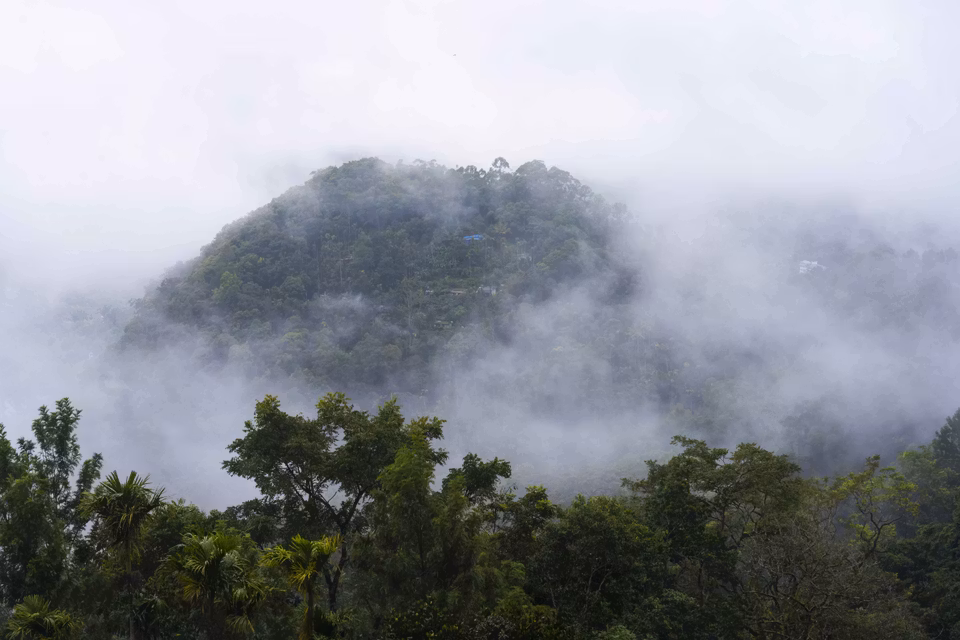 India (Road Trips) - August Edition