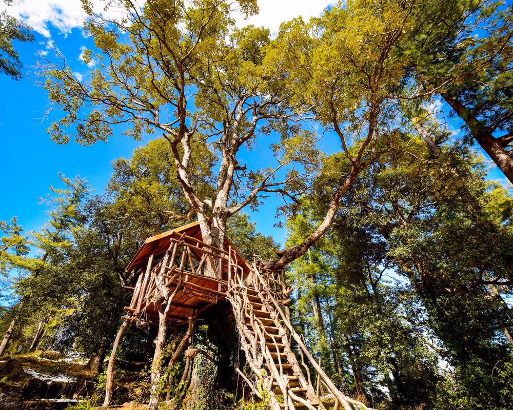 Zostel Home Mashobra